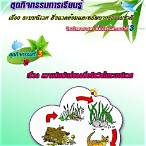 สิ่งแวดล้อม และ ระบบ นิเวศ